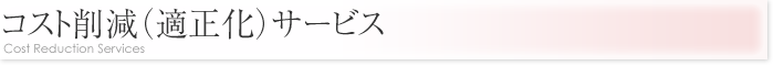 コスト削減（適正化）サービス